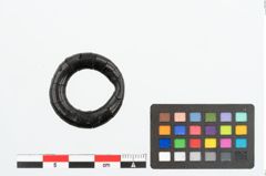 Foto von Gagatring (NHMW-PRAE-025902)
